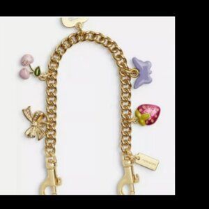 Coach Swagger Charm Chain
